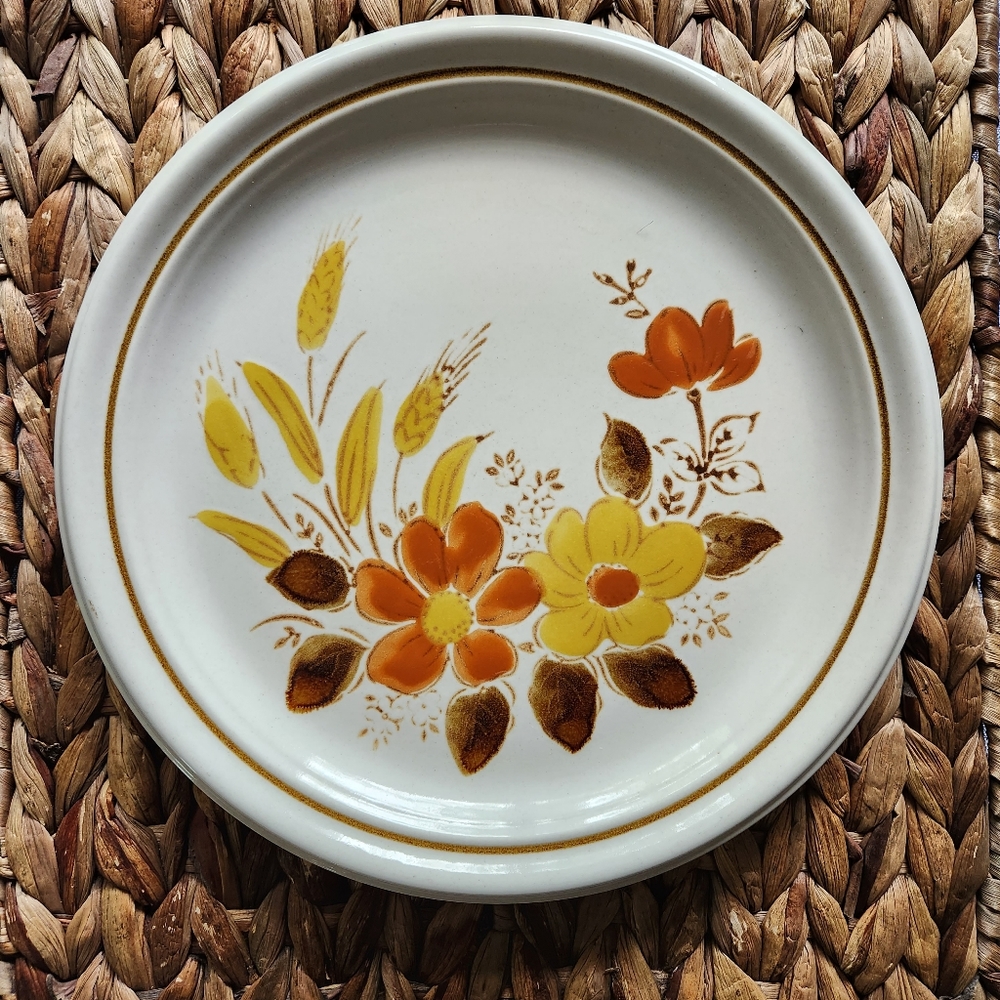 Stone Harvest Japanese Dinnerware
